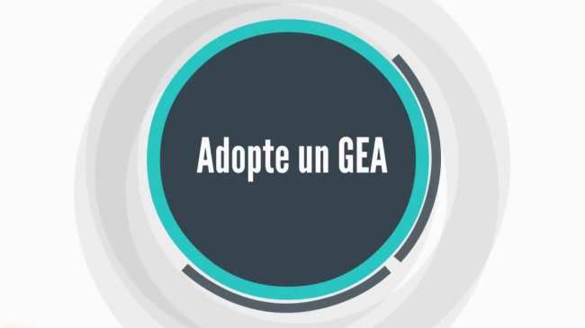 adopte un gea