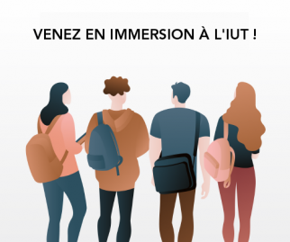 Visuel immersions